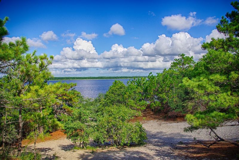 Carolina Beach State Park