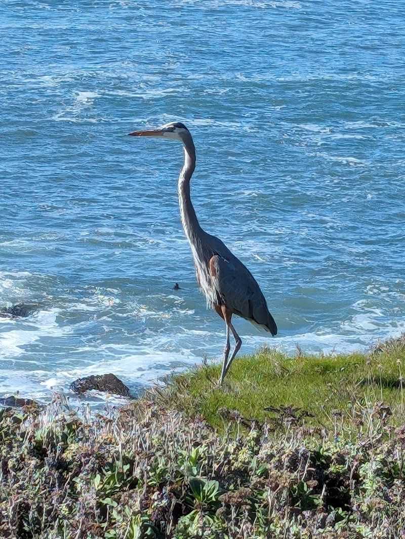 Wildlife Sightings Are A Real Part Of The Experience