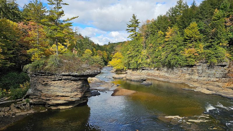 Swallow Falls State Park 