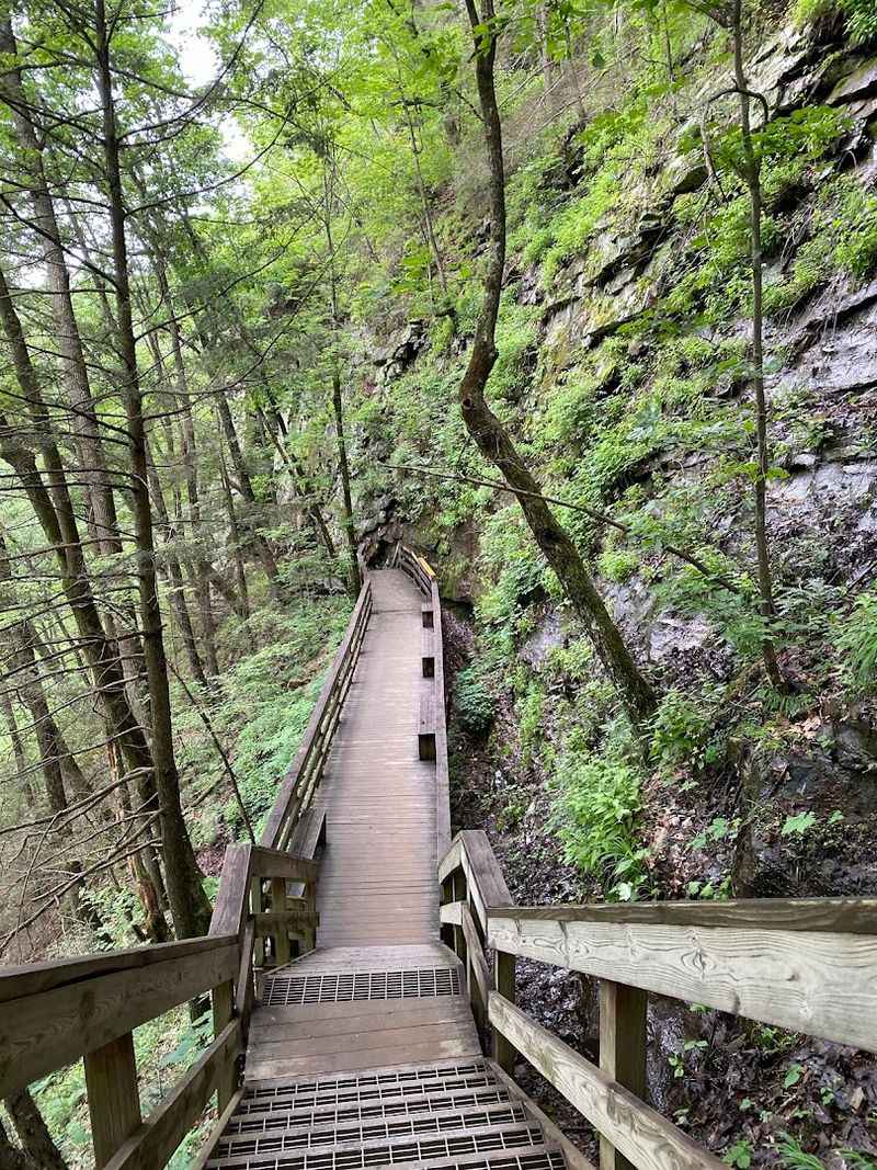 Cloudland Canyon State Park