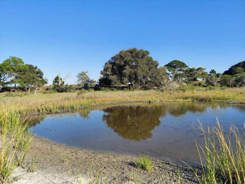 This List Of 16 Georgia Campgrounds Comes With Incredible Coastal Scenery - Decor Hint Sapelo Island Campground