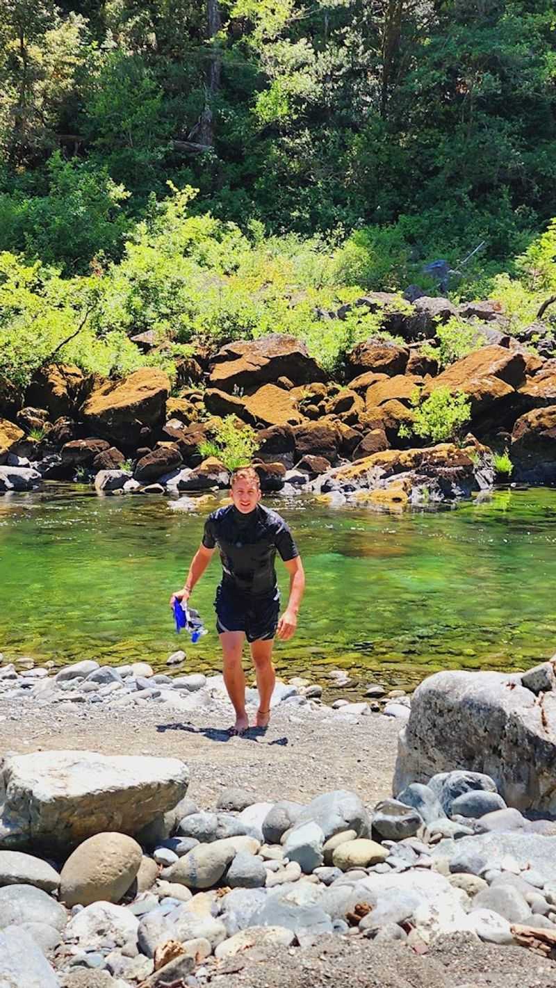 Snorkeling With Salmon In A Northern California River