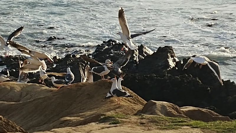 Great Spot For Birdwatching