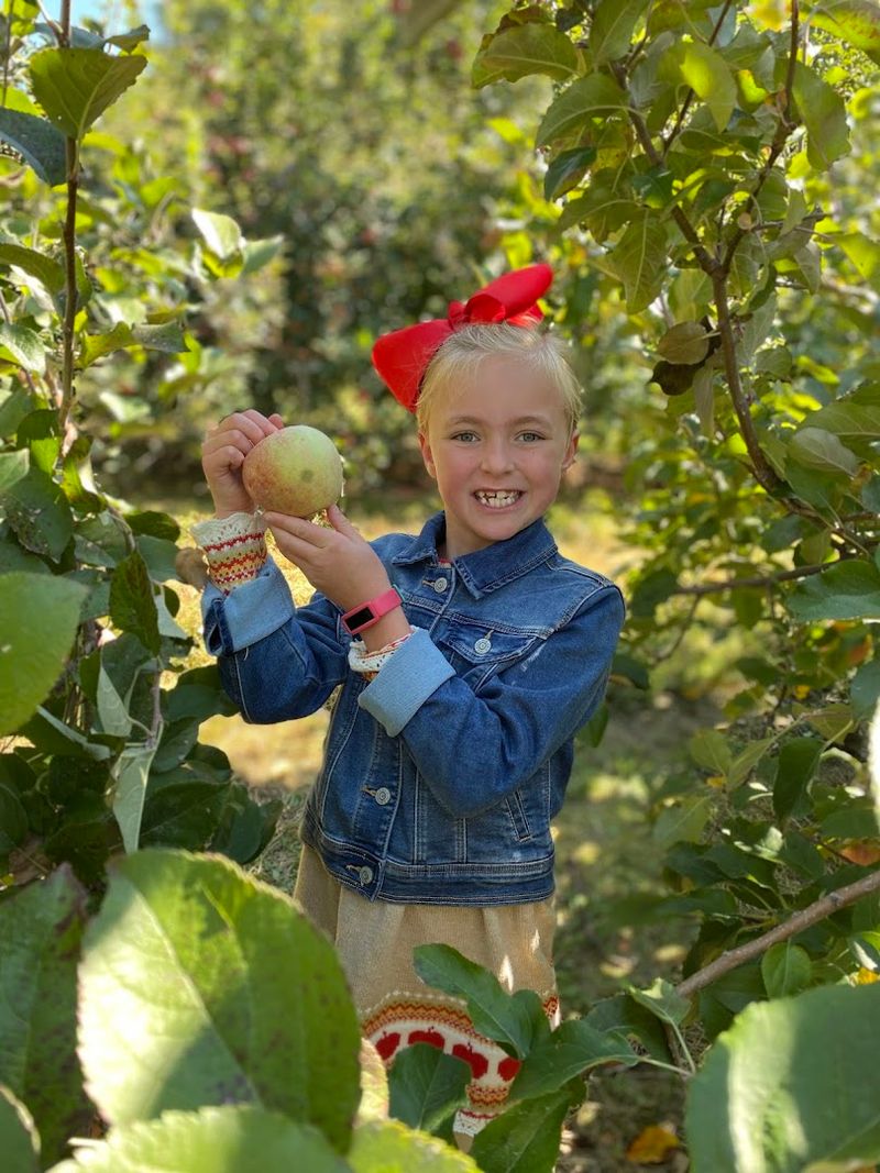 U-Pick Apple Adventure