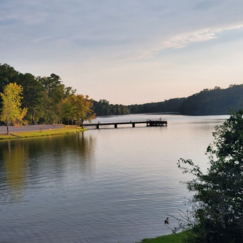 Your Favorite Park Is Finally Back Open