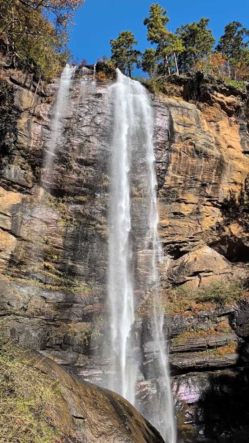 The Name Itself Tells a Beautiful Story