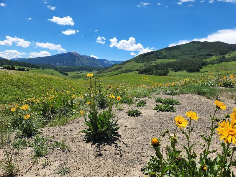Crested Butte