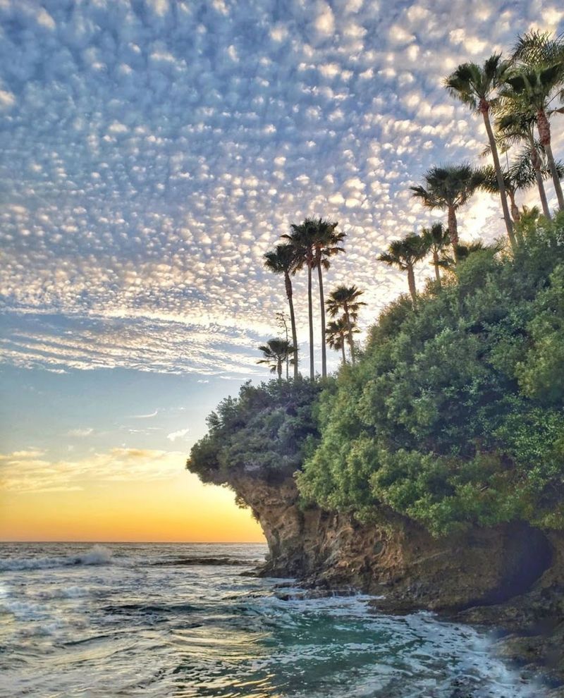 The Scenic Pacific Coast Highway Drive