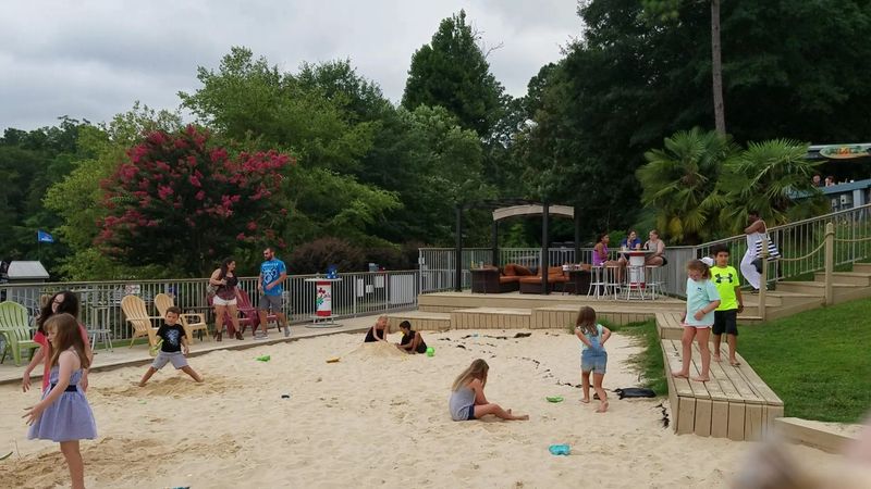 Dogs Welcome on the Patio, No Judgment