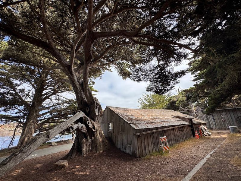 The Historic Whalers Cabin And Its Fascinating Past