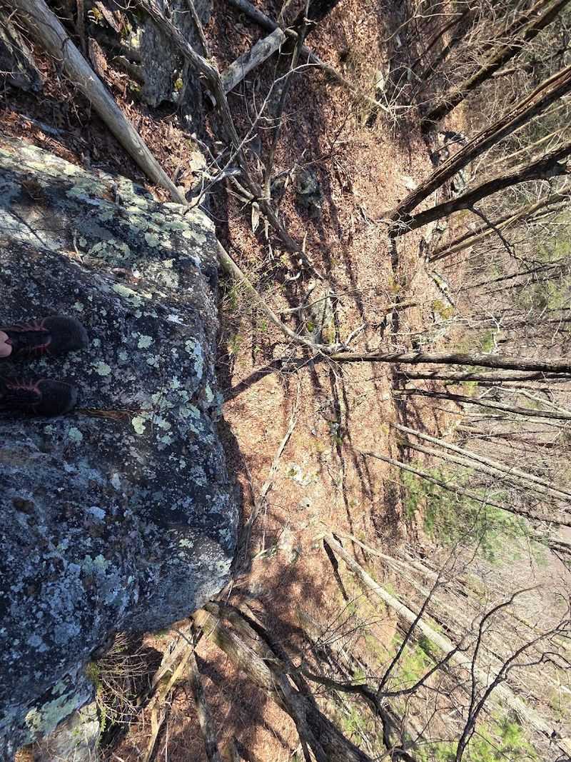 World-Class Mountain Biking Terrain