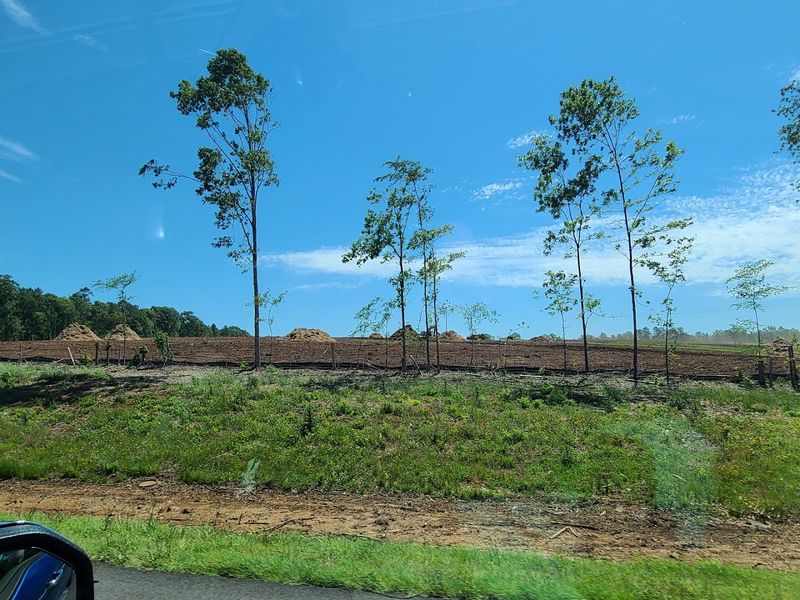 Authentic Southern Hospitality That Feels Effortless