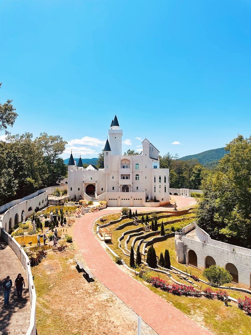 Guided Tours That Bring the Castle's Story to Life