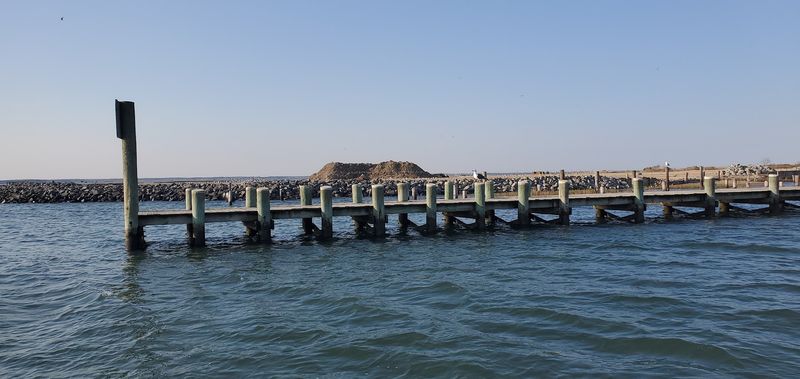 Eastern Shore Oyster Traditions That Still Hold Strong