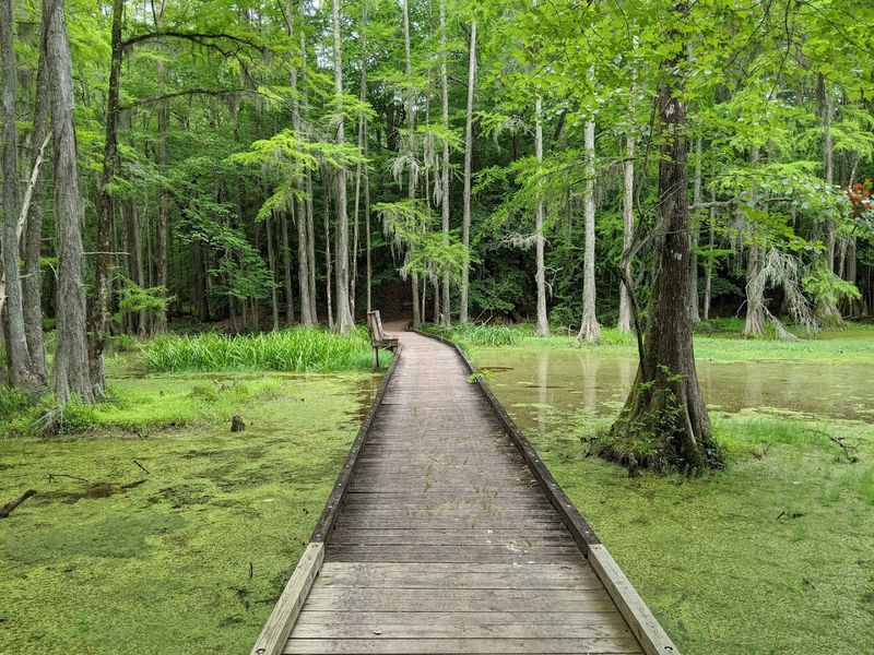 This Hidden North Carolina State Park Feels Like One Of The State’s Best-Kept Secrets - Decor Hint Real Trails
