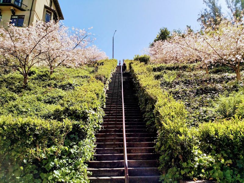 These Iconic San Francisco, California Steps Feel Like A Perfect Climb In April - Decor Hint A Serious Workout Hidden Inside A Scenic Landmark