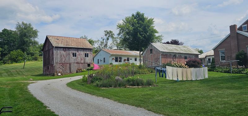 10 Unspoken Rules In Ohio Amish Towns That Visitors Keep Ignoring - Decor Hint Chasing Night Sounds With Drones