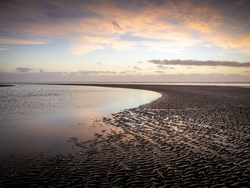 Foggy Mornings And Golden Sunsets