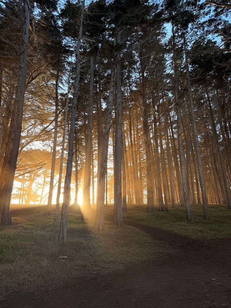Golden Hour Photography At The Tunnel Is Genuinely Special