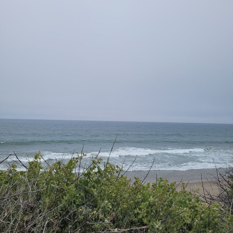 Starting Near The Ventura River Estuary And The Pacific Ocean