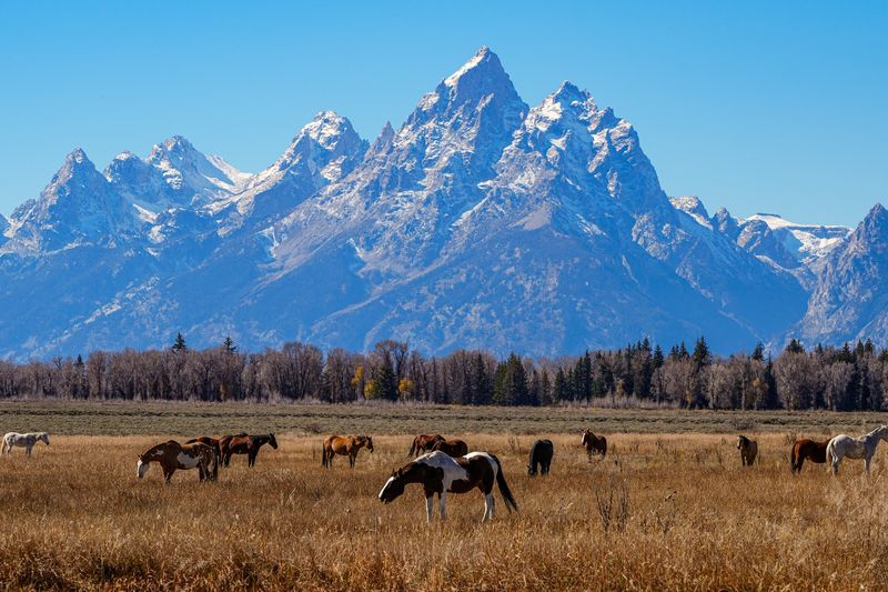 Teton Valley To Island Park Big Loop