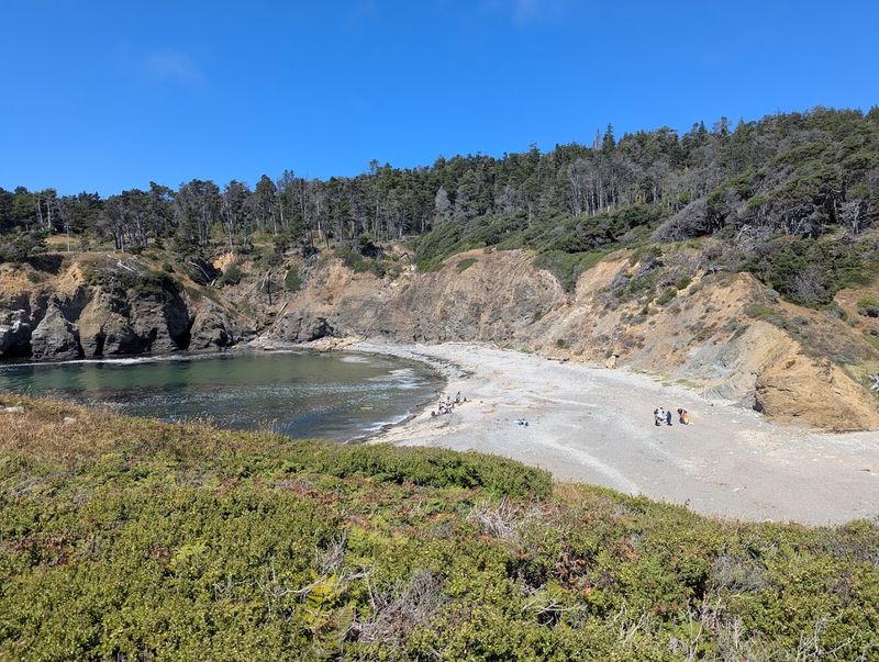 10 California Beaches Where The Coastline Still Feels Quiet And Untamed - Decor Hint Stump Beach, Salt Point State Park