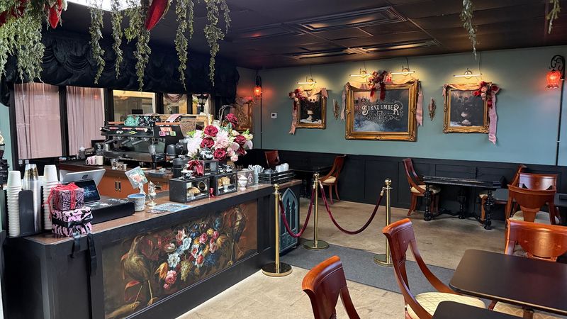 The Shop Opened Recently And Keeps Evolving