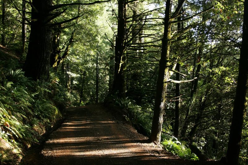 Lost Coast Trail, Sinkyone Wilderness Section, Mendocino County
