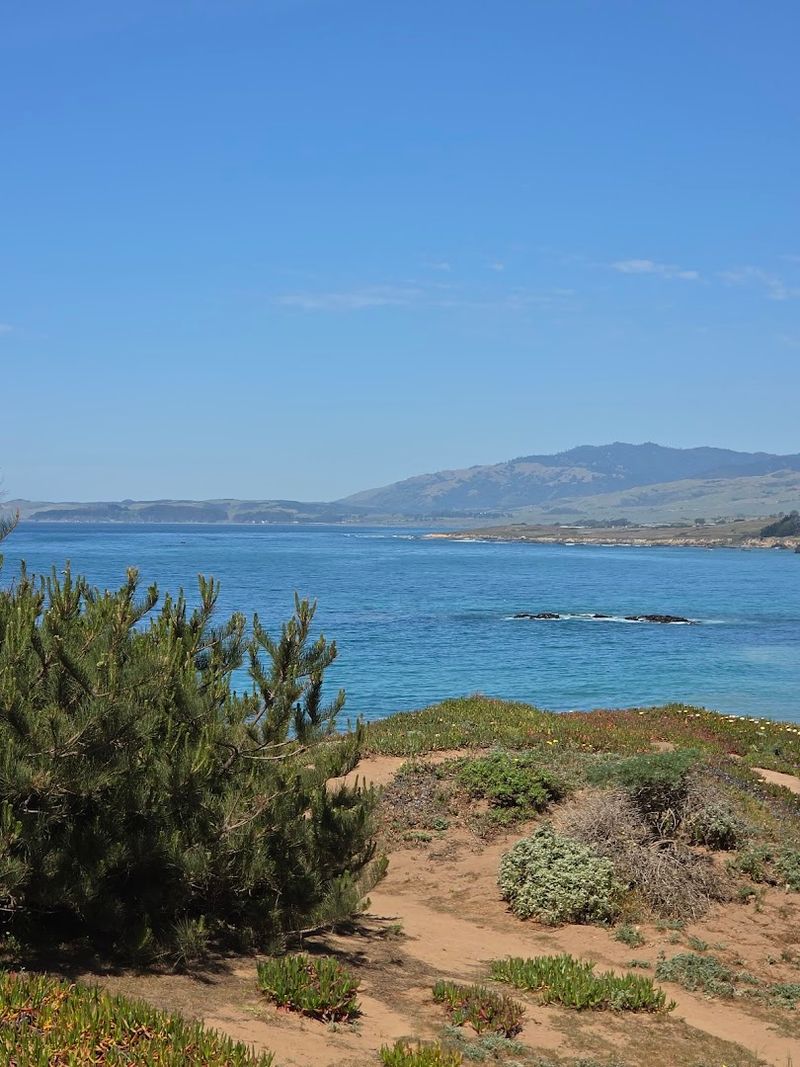 San Simeon Creek Campground, San Simeon
