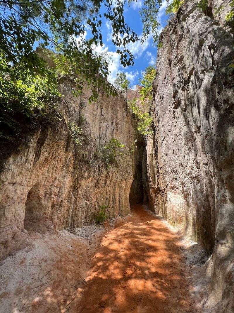 This Breathtaking Georgia State Park Feels Like It Belongs Out West - Decor Hint Peaceful Picnic Areas Surrounded by Nature