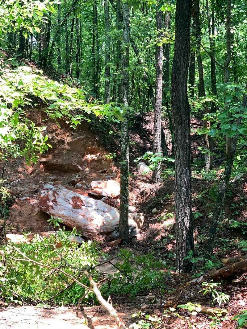 Seasonal Events and Special Machine Digs