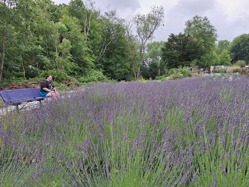 Relax And Enjoy The Peaceful Farm Atmosphere