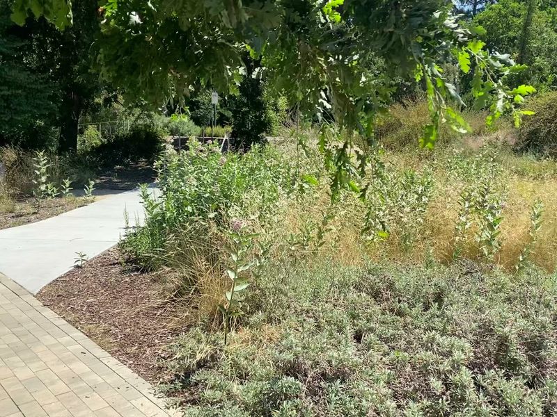 Accessibility Across The Grounds