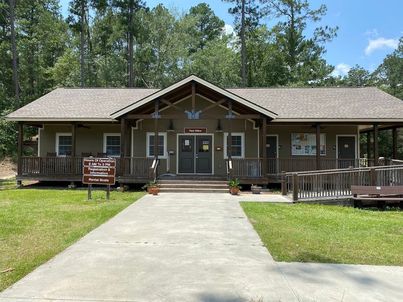 This Georgia Swamp Feels Like A Mirror-Covered Cypress Escape - Decor Hint Group Shelter for Reunions and Events