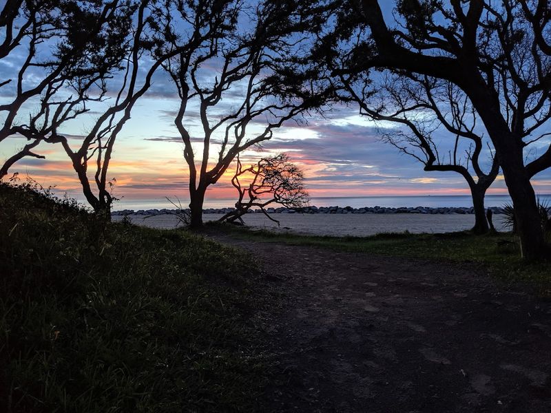Stargazing Under Dark Coastal Skies