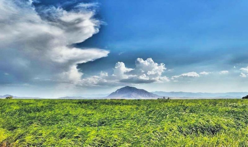 Why Heber's Food Story Deserves More Attention Than It Gets