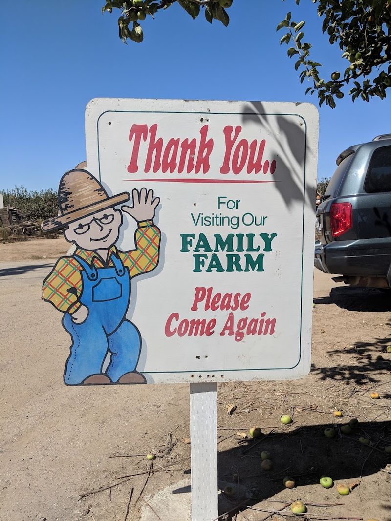 Why the Drive Actually Feels Worth It