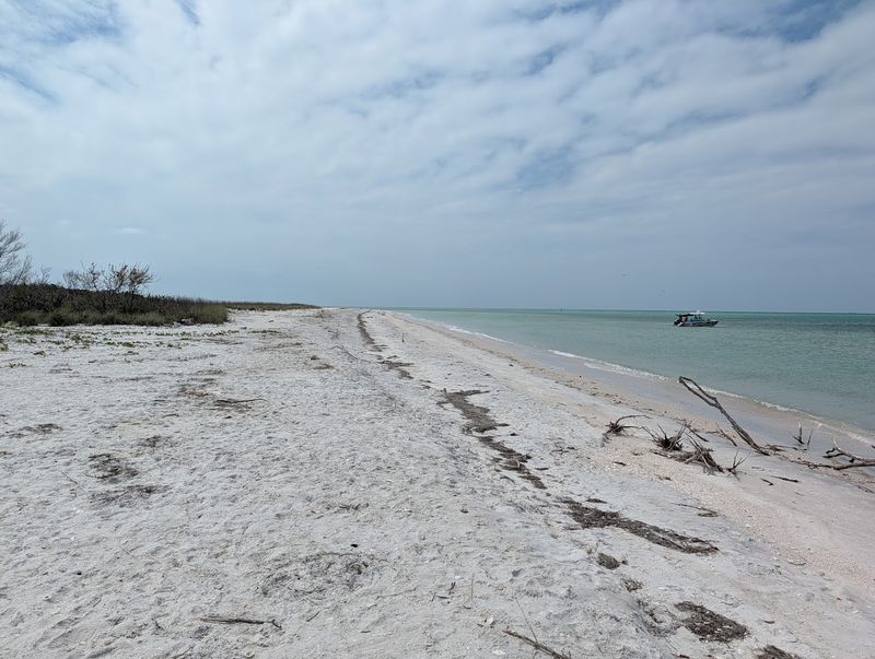 12 Florida Beaches Where You Can Escape The Crowds - Decor Hint Shell Key Preserve