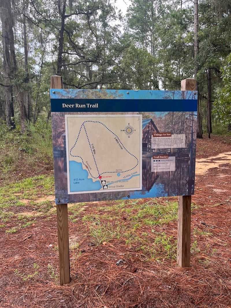 This Georgia Swamp Feels Like A Mirror-Covered Cypress Escape - Decor Hint Wi-Fi Access at the Park Office