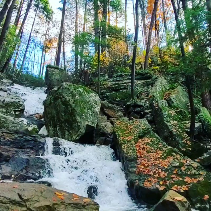10 Underrated Pennsylvania State Parks That Are Worth The Trip - Decor Hint Swatara State Park