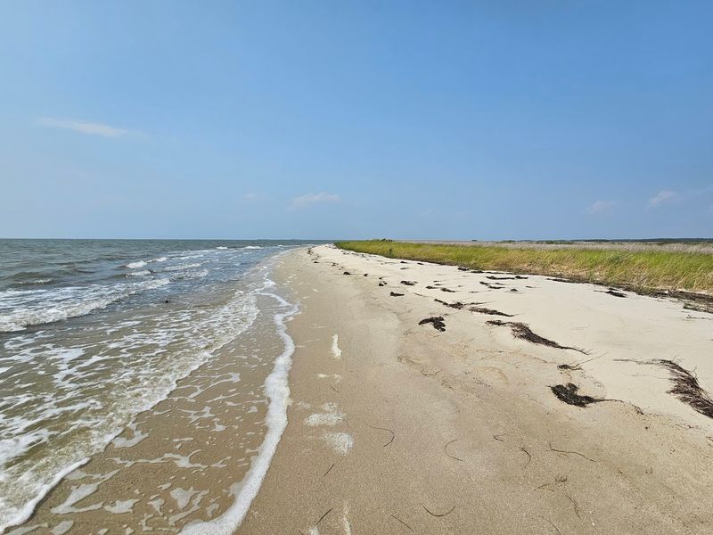 Janes Island State Park