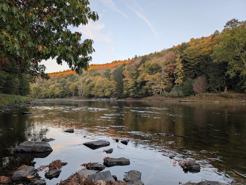 Cook Forest State Park