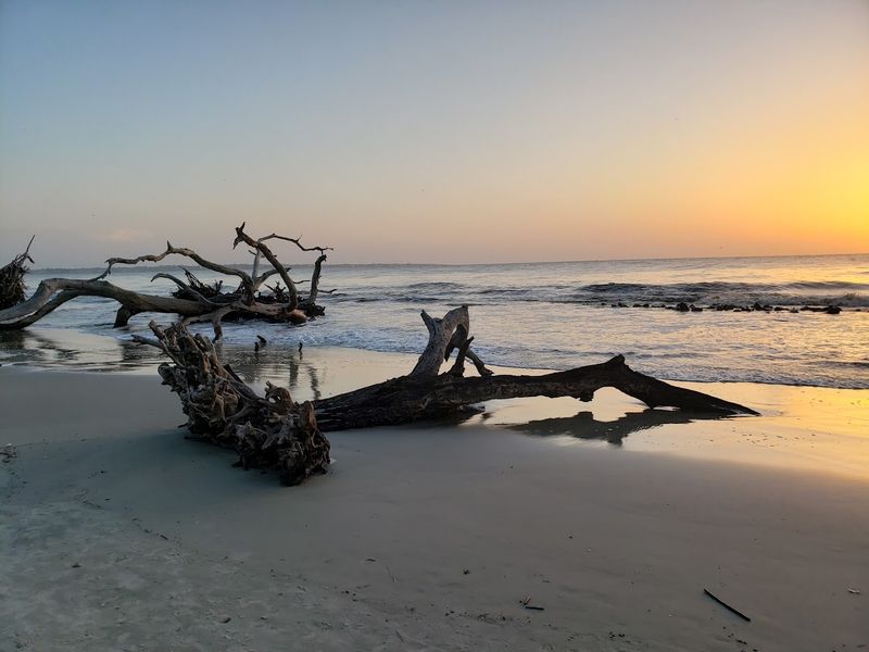Driftwood Beach — A Photographer's Dream