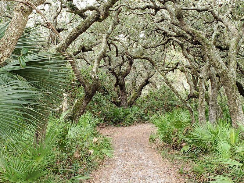 Cumberland Island National Seashore