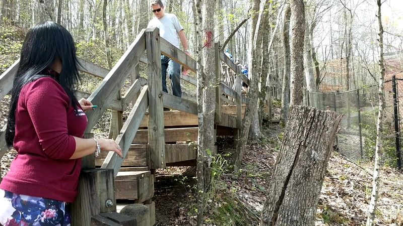 Sweetwater Creek State Park