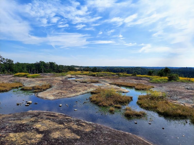 Arabia Mountain National Heritage Area