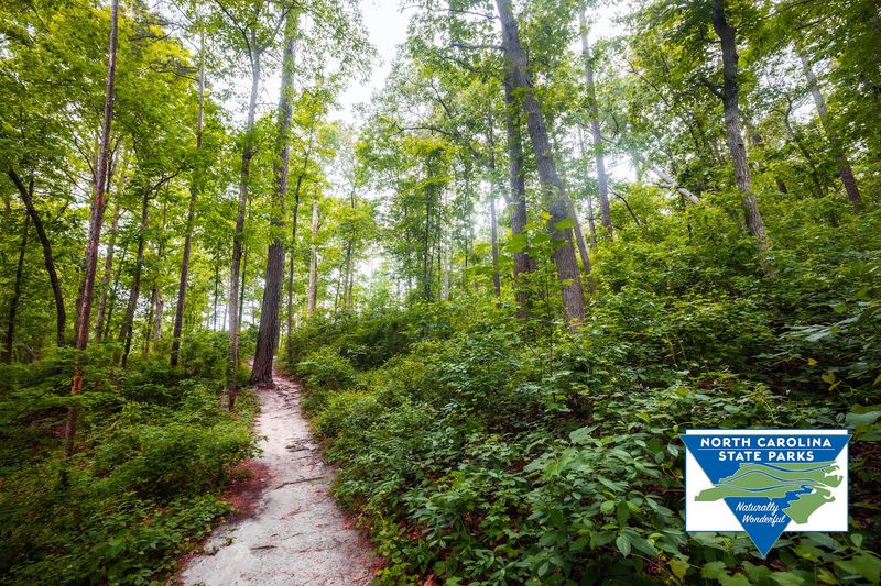 Lake Trail At Cliffs Of The Neuse State Park