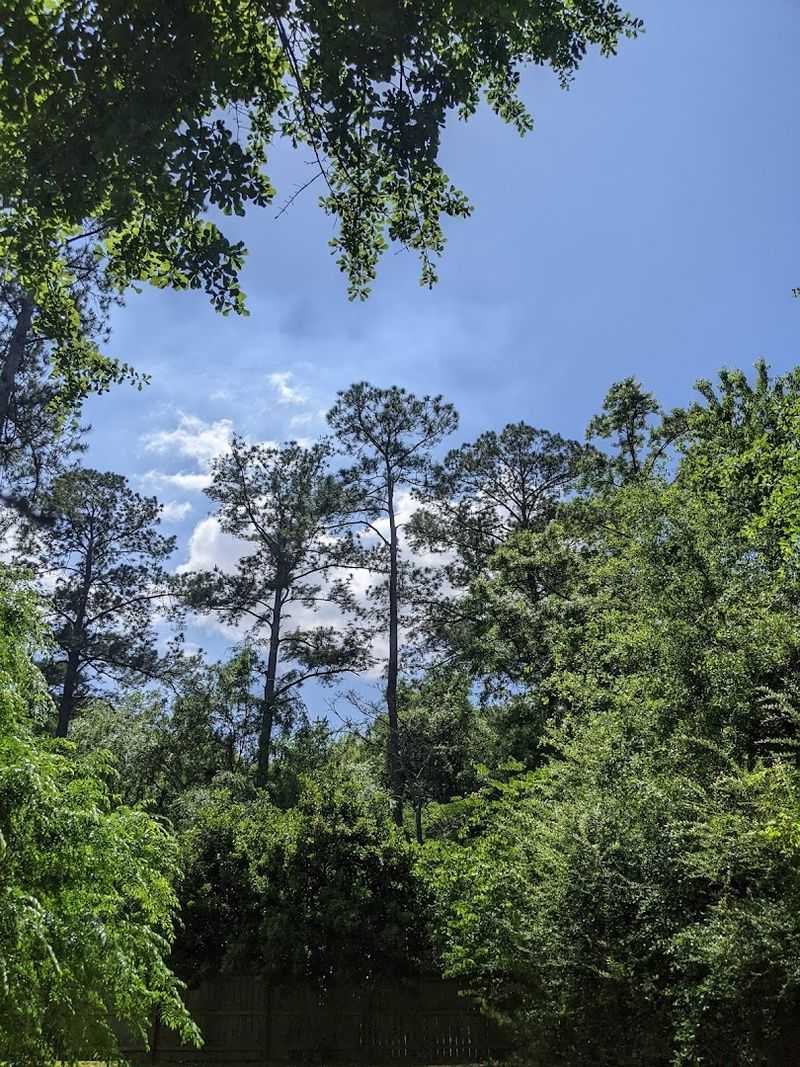 Natural Beauty That Soothes the Soul