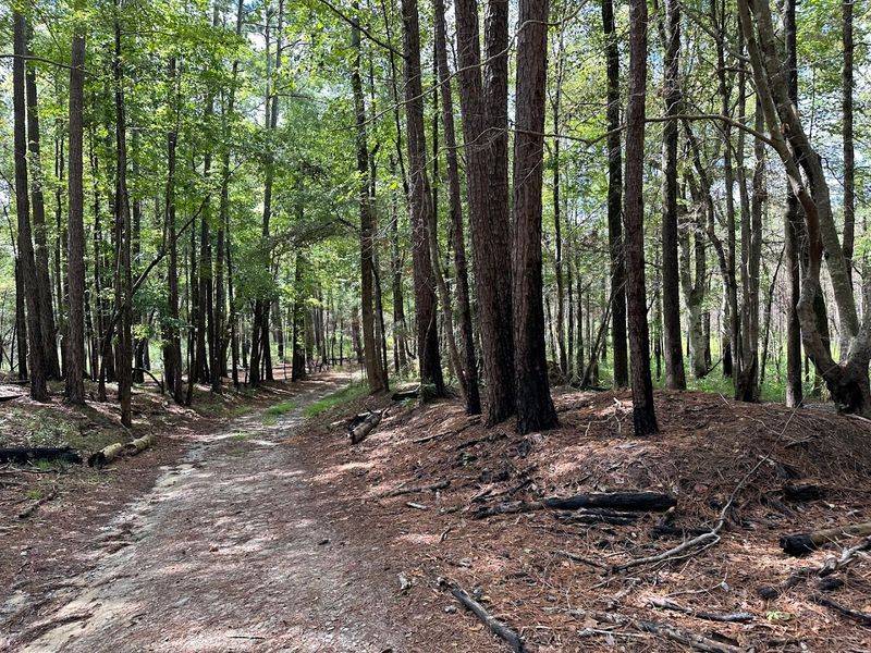 This Hidden North Carolina State Park Feels Like One Of The State’s Best-Kept Secrets - Decor Hint Getting There