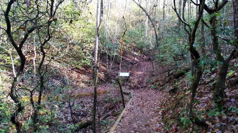 Old Stonework And Homestead Traces